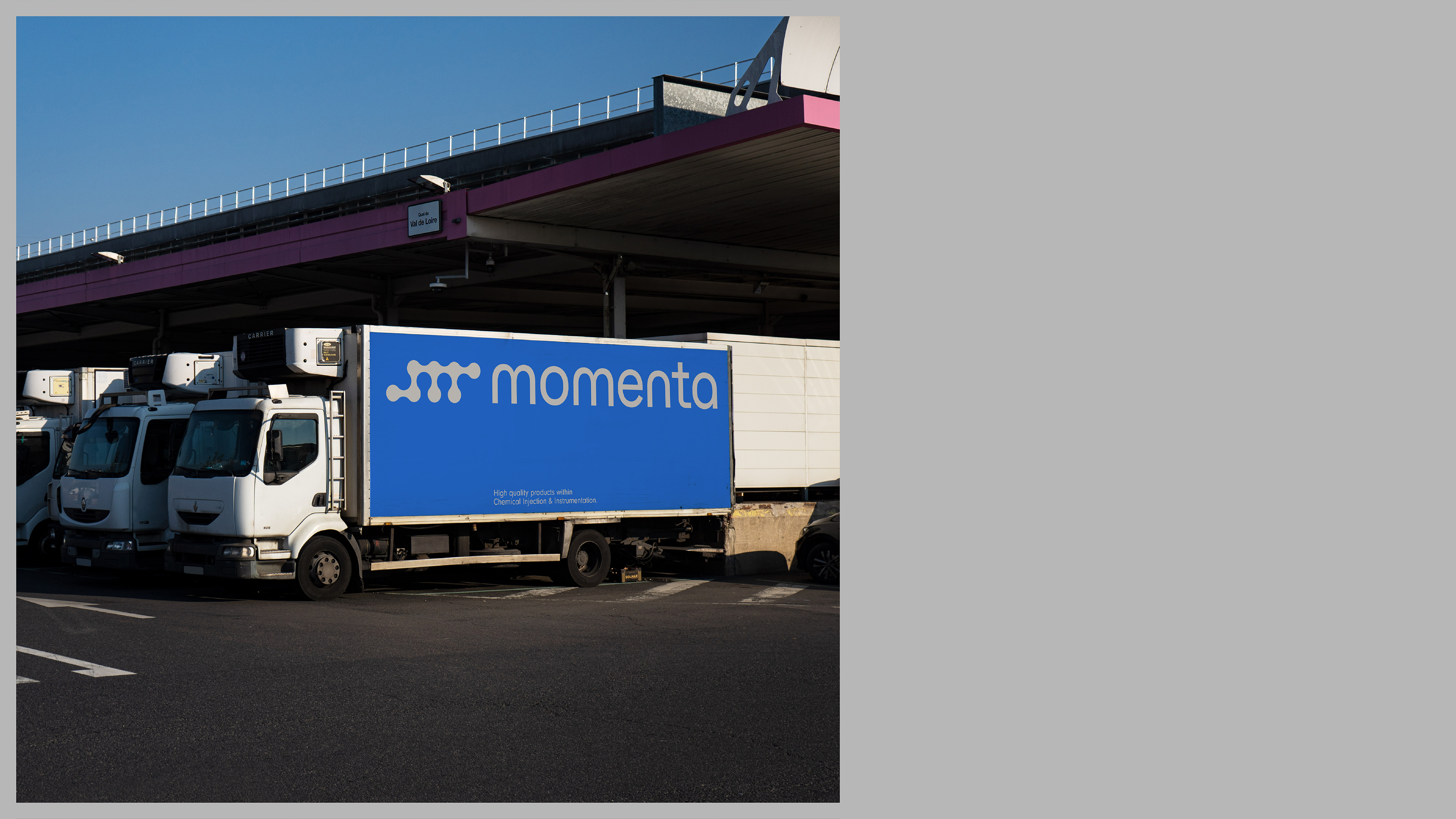 Momenta - Logo-08 copy